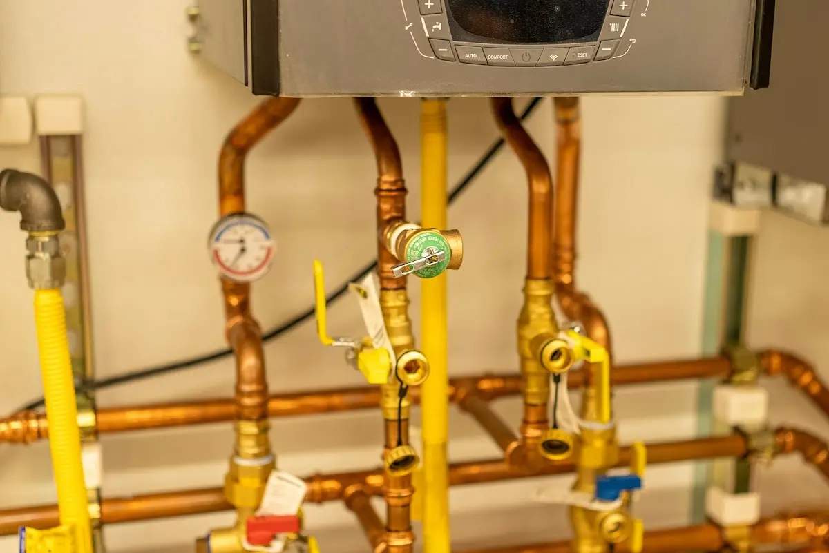 Licensed technician providing Sump Pump Repair for a homeowner in Alma